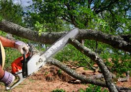 Best Lawn Grading and Leveling  in Lake Holiday, IL